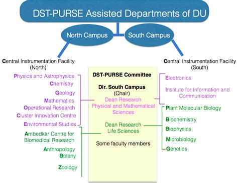 dst purse grant